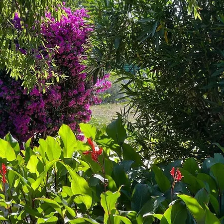 Casa Alghero Hébergement de vacances